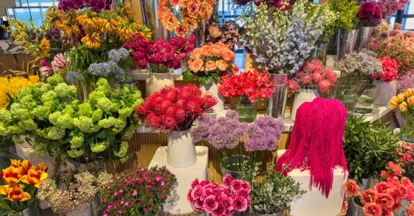חנות פרחים בישראל